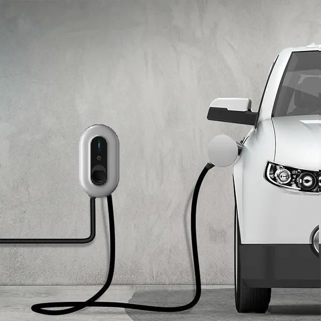 De EU Regelbare Huidige 50Hz aan 60Hz-Type - 2 EV Lader voor Huis het Snelle Laden